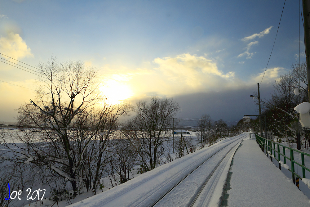 _MG_0229.jpg _MG_0229.jpg