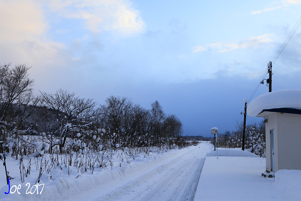 _MG_0262.jpg _MG_0262.jpg