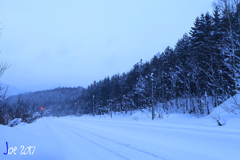 _MG_0278.jpg _MG_0278.jpg