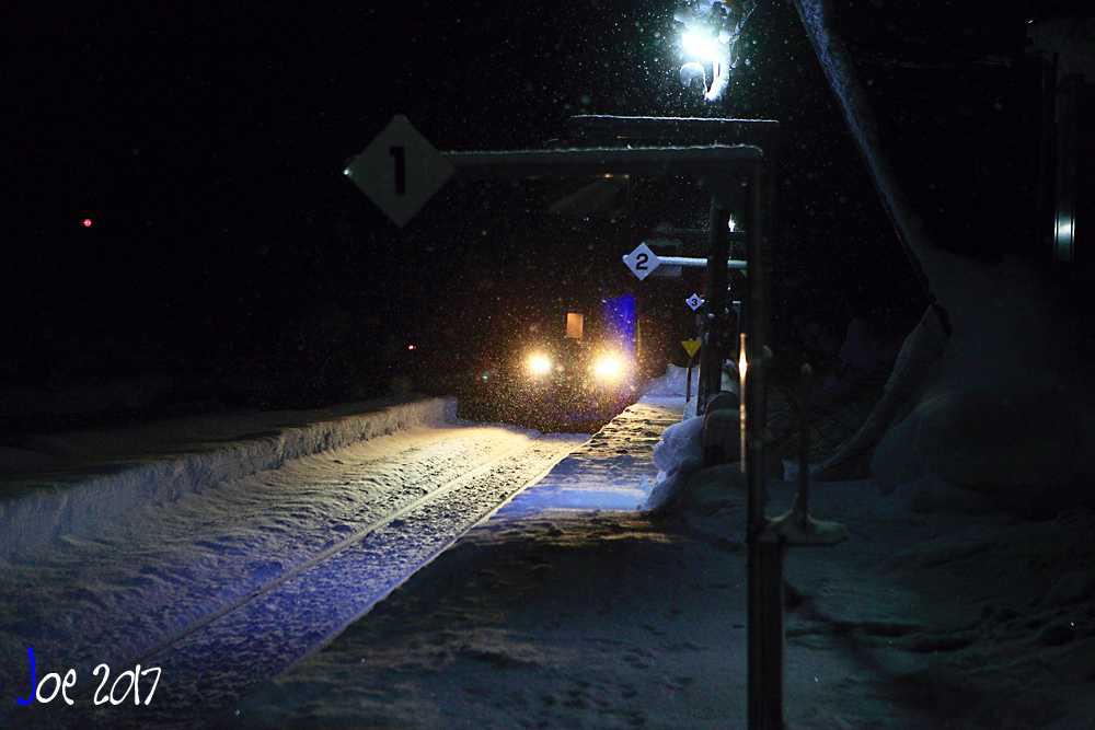 _MG_0348.jpg _MG_0348.jpg