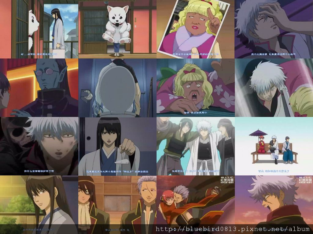 gintama 13.jpg