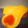 Butternut Squash 01