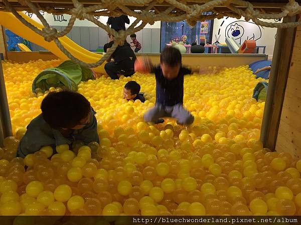 IMG_2748 IMG_2748