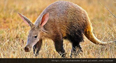 Screen Shot 2015-06-15 at 2.59.42 PM Screen Shot 2015-06-15 at 2.59.42 PM