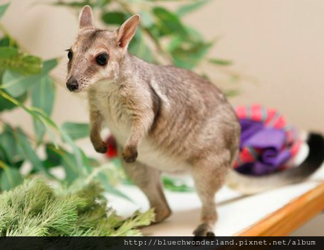 Screen Shot 2015-06-15 at 3.29.29 PM Screen Shot 2015-06-15 at 3.29.29 PM