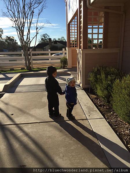 IMG_0205.2015-01-15_162123 IMG_0205.2015-01-15_162123