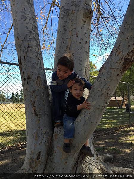 IMG_0249.2015-01-17_202342 IMG_0249.2015-01-17_202342