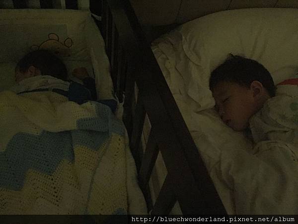 IMG_0213.2015-01-16_050323 IMG_0213.2015-01-16_050323