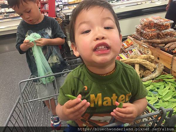 IMG_4137.2015-06-16_003719 IMG_4137.2015-06-16_003719