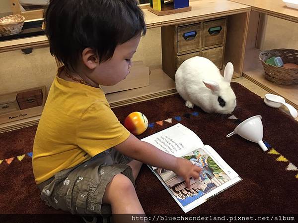 IMG_5097.2015-07-17_153337 IMG_5097.2015-07-17_153337