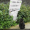 猴硐 27