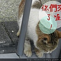 猴硐 30