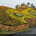 國際花毯節 22