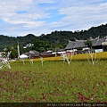 2016桃園花彩節_大溪39