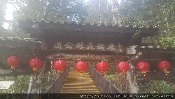 鐵杉林國家步道 30