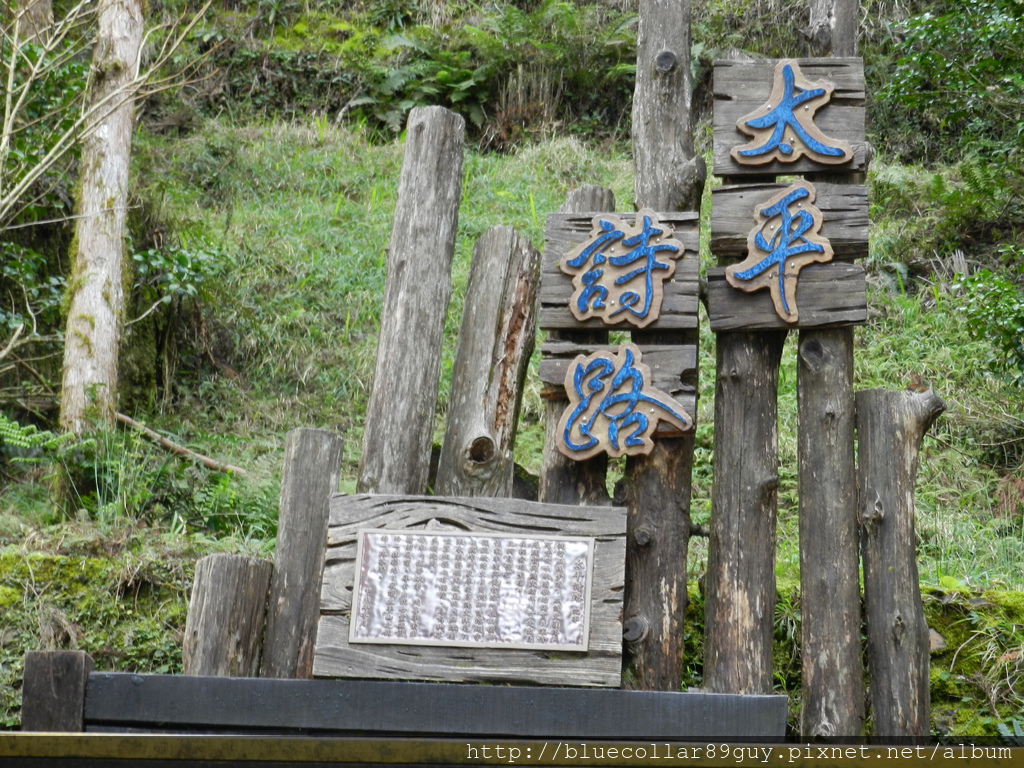 鐵杉林國家步道 34