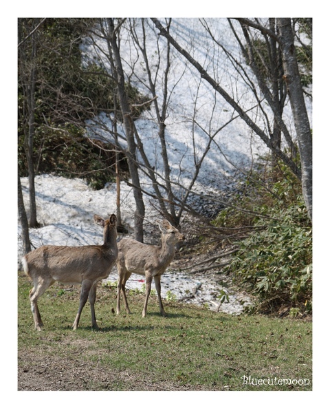 2009.5北海道