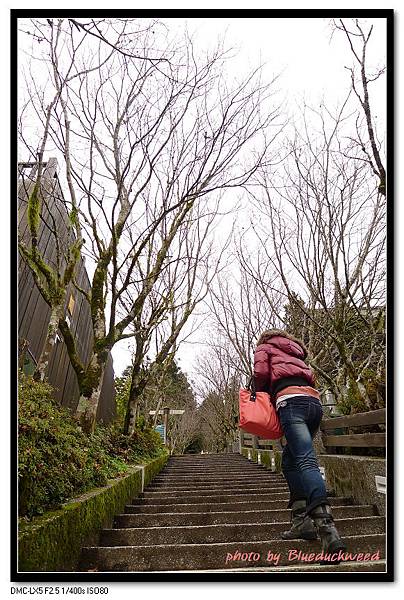 感覺階梯的盡頭是神社