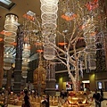 IMG_0011.JPG