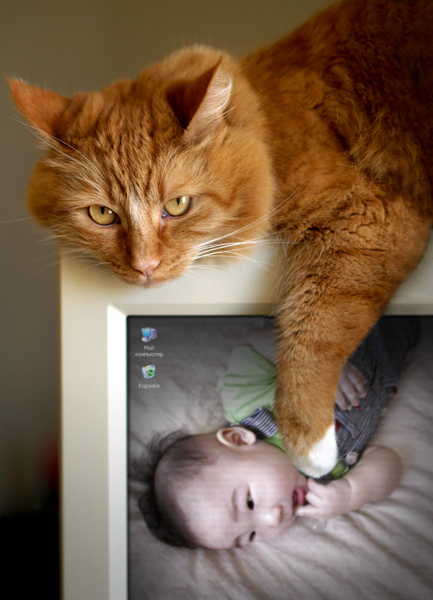PhotoFunia_1b8c8.jpg