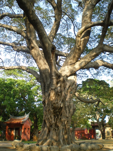 IMGP2313.JPG