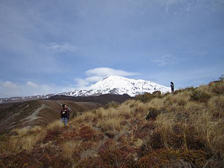 palmerston north 098.jpg