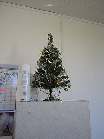 holiday 019.jpg