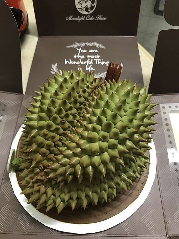 Cake moonlight durian Unique Concept