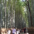 嵯峨野竹林步道