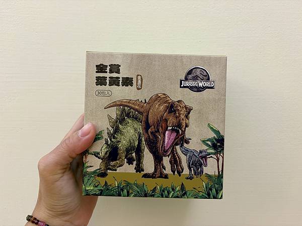 【好食分享】【momochan沫沫將】正版授權人氣IP✨兒童