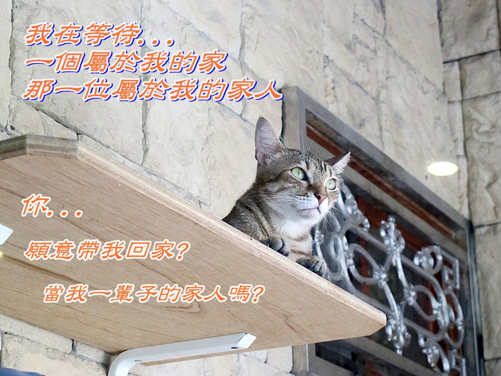 IMG_0431.JPG IMG_0431.JPG