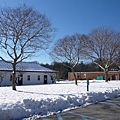 Between Theatre/ Film Building and Library