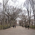 Postcard-like scenery in Central Park