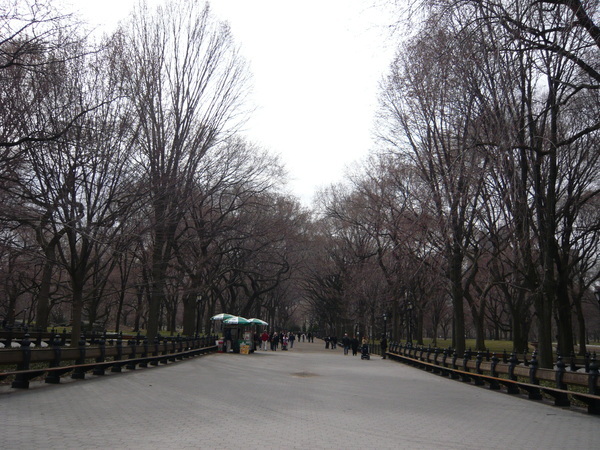 Central Park