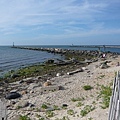 At Gosman's Dock, Montauk