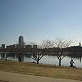 Charles River view