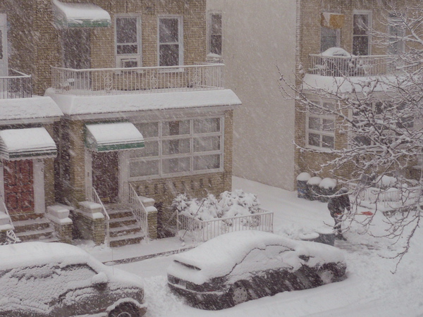 小黑被蓋，鄰居剷雪