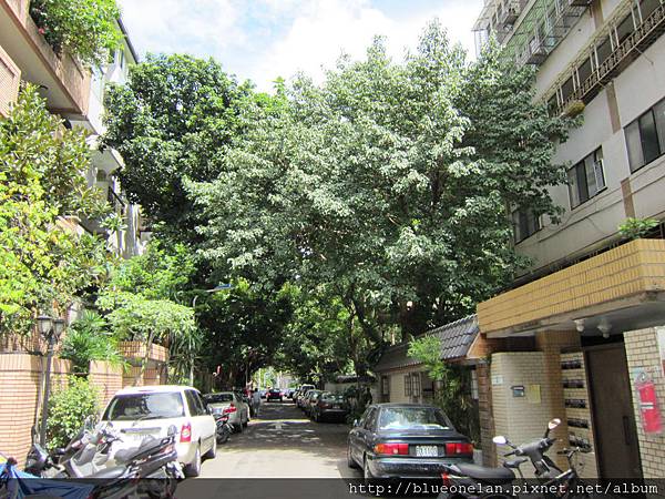 IMG_1483.JPG IMG_1483.JPG