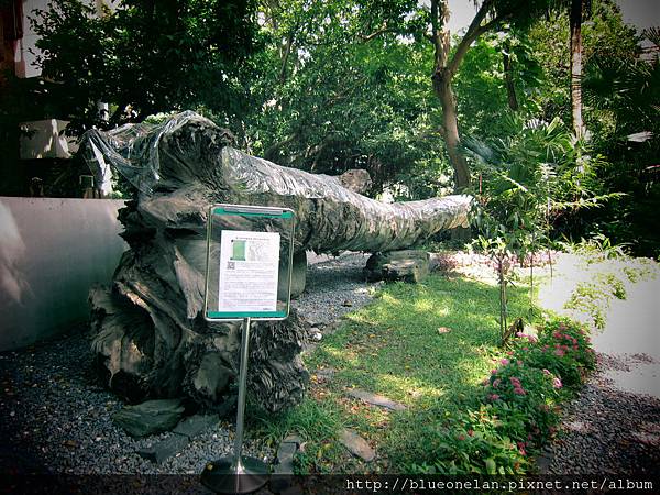 IMG_1493.JPG IMG_1493.JPG