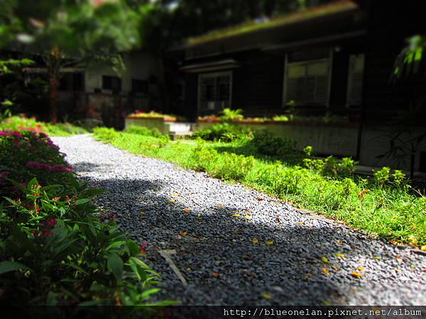 IMG_1495.JPG IMG_1495.JPG