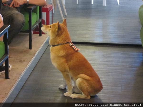 IMG_4165.JPG IMG_4165.JPG