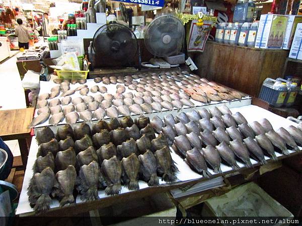 IMG_7011.JPG IMG_7011.JPG