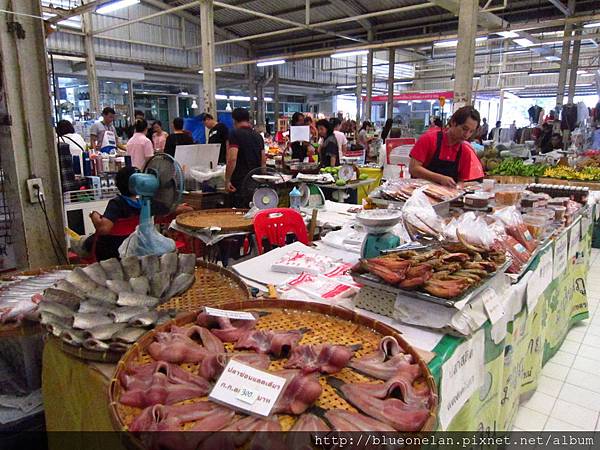 IMG_6994.JPG IMG_6994.JPG