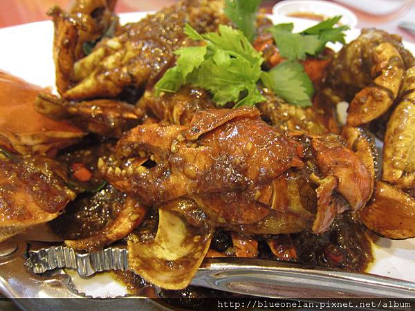 IMG_8313.JPG IMG_8313.JPG