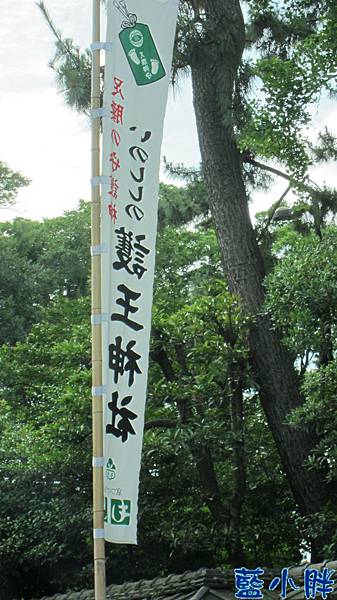 IMG_5875.JPG IMG_5875.JPG