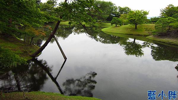 IMG_5996.JPG IMG_5996.JPG