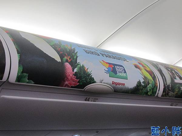 IMG_3533-1.JPG IMG_3533-1.JPG