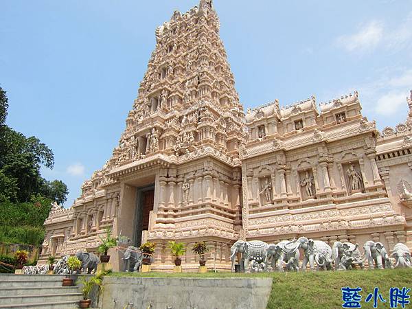 IMG_3794.JPG IMG_3794.JPG