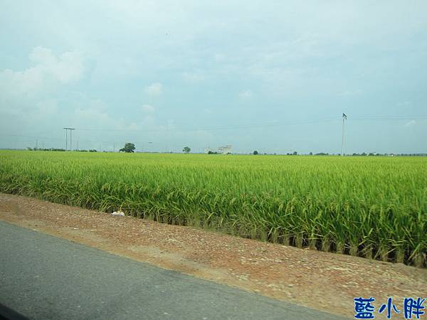 IMG_3850.JPG IMG_3850.JPG