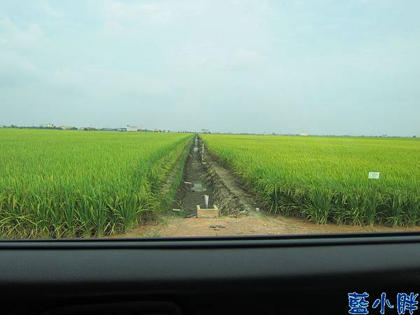 IMG_3851.JPG IMG_3851.JPG